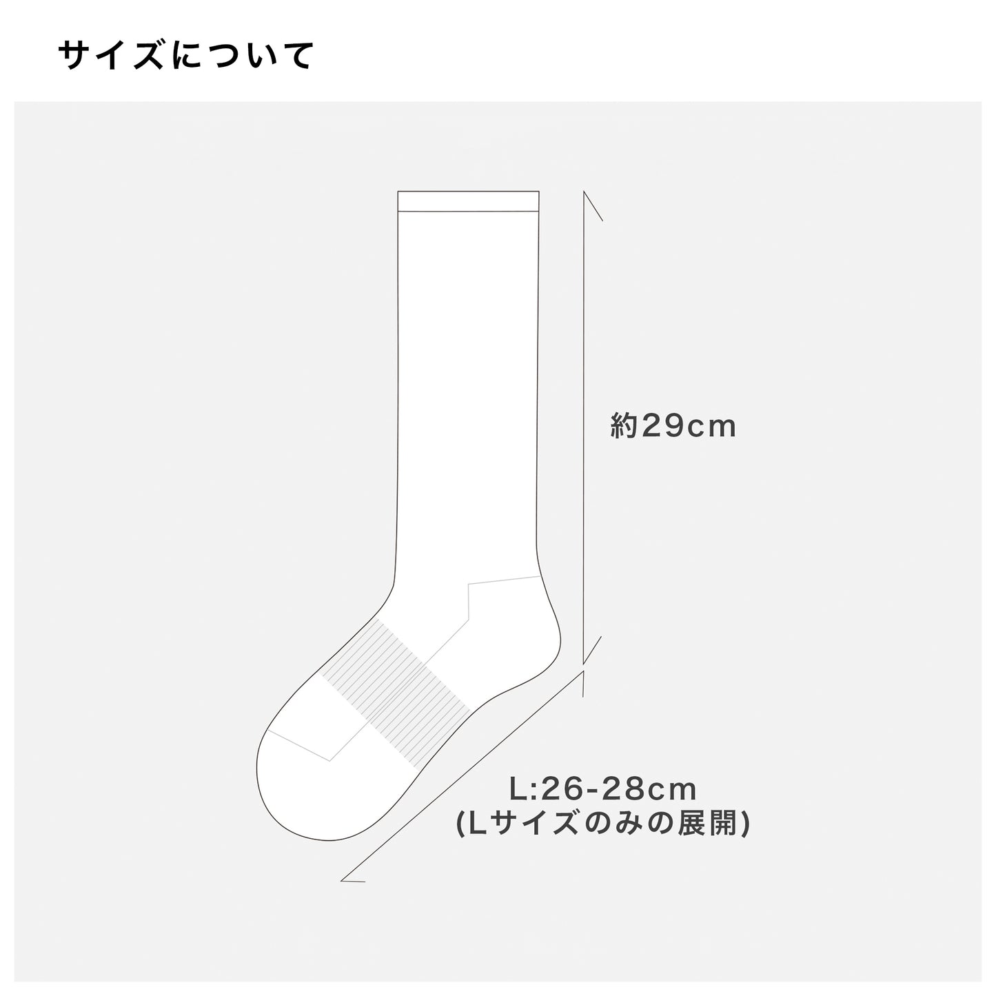 BED j.w. FORD×CHICSTOCKS  ラインストーンラメソックス  26-28cm